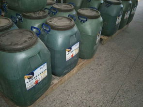 愛(ài)迪斯BBC 251道橋聚合物改性瀝青防水涂料 水性建筑涂料領(lǐng)域的卓越解決方案